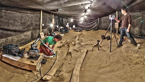 Paleontólogos usan un escáner láser de alta resolución para preservar digitalmente los fósiles en su contexto geológico original