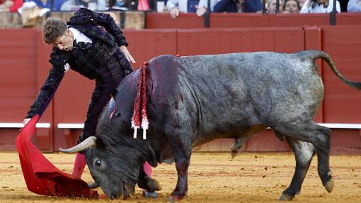 Manuel Escribano indultó a «Cobradiezmos» en la pasada Feria de Abril (foto: Raúl Doblado)