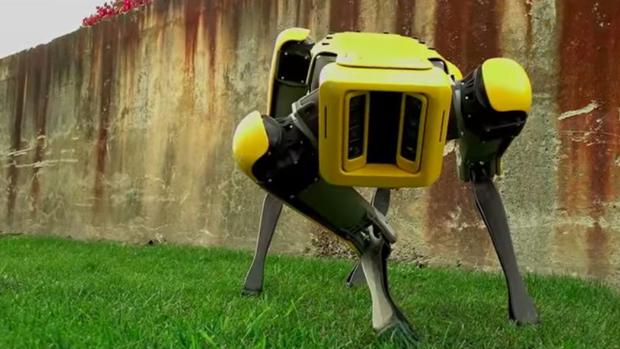 El perro robot llega al mercado