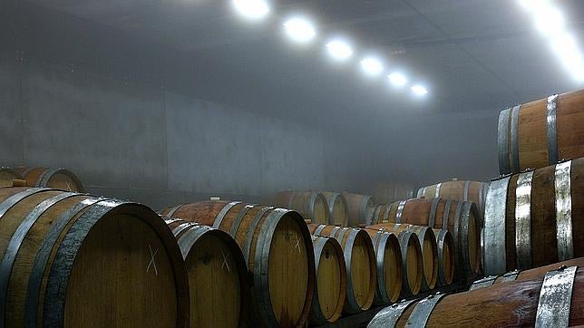 Barricas de Bodegas Bernabeleva