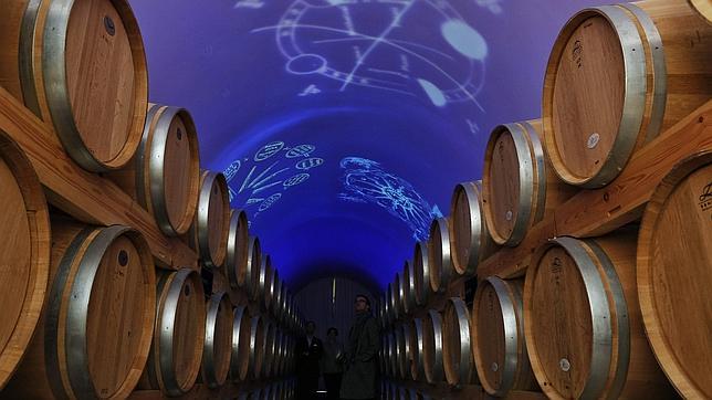Un grupo de eurodiputados piden que el vino se declare patrimonio de la humanidad