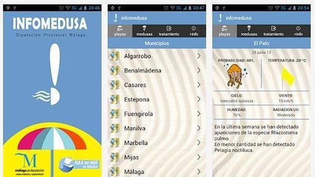 Alerta de medusas en el móvil para los baños en la Costa del Sol