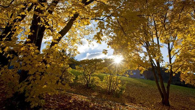 Otoño 2013: ¿qué nos depara esta estación?