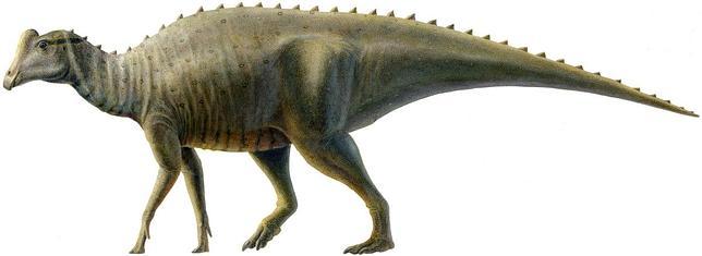 Un adolescente descubre el esqueleto de un bebé dinosaurio
