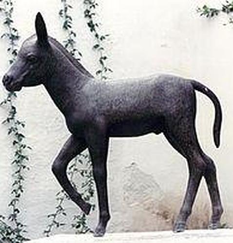Platero, nacido por azar, cumple cien años