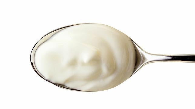 El yogur es leche fermentada mediante la acción de «Lactobacillus bulgaricus» y «Streptococcus thermophilus»