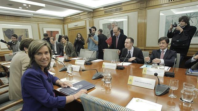 El Comité de Bioética avala la reforma del aborto pero pide apoyos a la maternidad