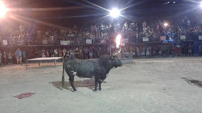Imagen del toro «Ratoncito» durante los festejos de la pasada semana en Mislata
