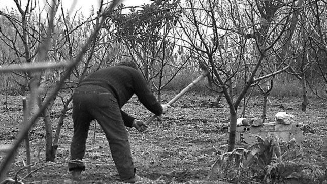 Roure cree que el dicho proviene de que el nombre de Abundio era habitual en los pueblos