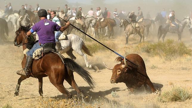 Torneo del Toro de la Vega de 2013