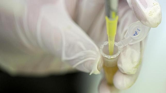 Ensayo para frenar el ébola en un laboratorio alemán