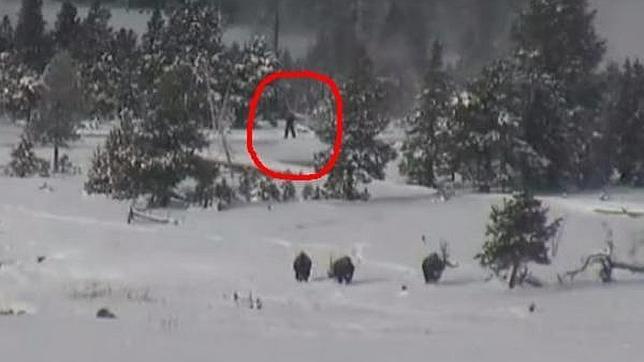 En el fotograma se observa una figura que la usuaria de Youtube atribuyó a un posible «bigfoot»