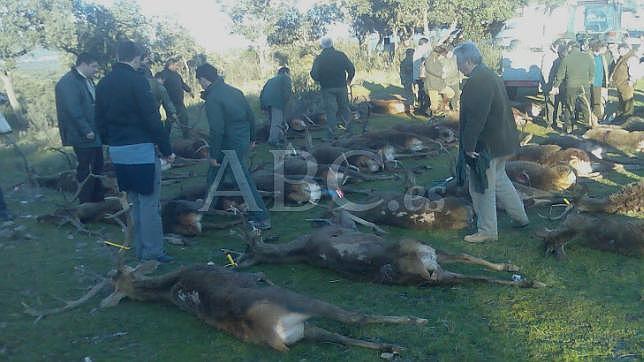 El entonces juez Baltasar Garzón camina entre las piezas abatidas durante la cacería a la que asistió en Andújar (Jaén) en febrero de 2009