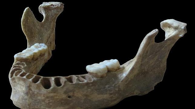 La mandíbula del humano hallado en Rumanía con casi un 10% de ADN neandertal