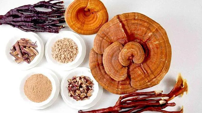 Reishi, el superalimento de las celebrities