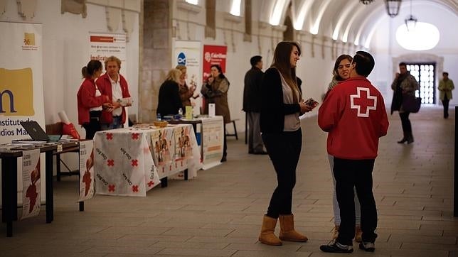 Cruz Roja recibirá 1,45 millones de euros