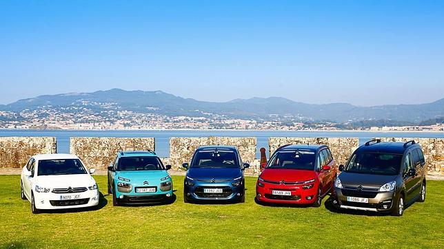 Parte de la familia de coches fabricados en España