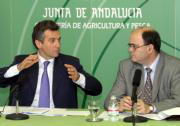 Alberto Horcajo. ABC