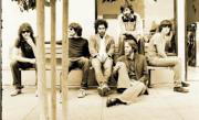 The Sunday Drivers ya no sorprenden a nadie con su calidad en directo Shara Worden es My Brightest Diamond, estará en el Summercase