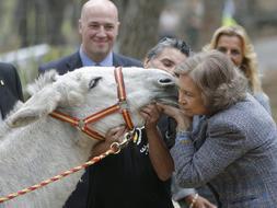 La Reina visita Córdoba