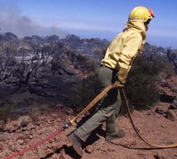 Controlado un conato de incendio cerca del Monumento Natural de Chipude