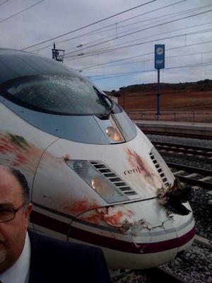 Un buitre choca contra el AVE y lo inutiliza