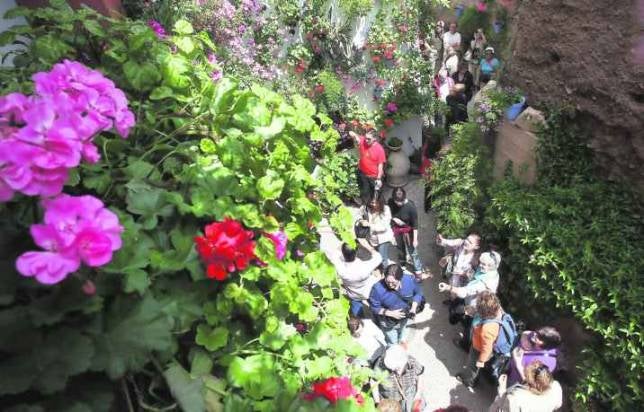 La Junta da por hecho que los Patios serán declarados Patrimonio mundial