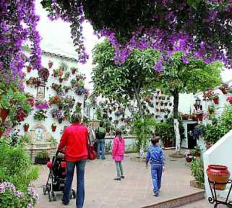 El dossier de Los Patios no tendrá defensa final ante la Unesco