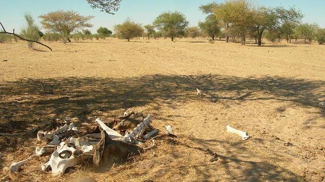 Los 13 años más cálidos los ha vivido la Tierra en la última quincena