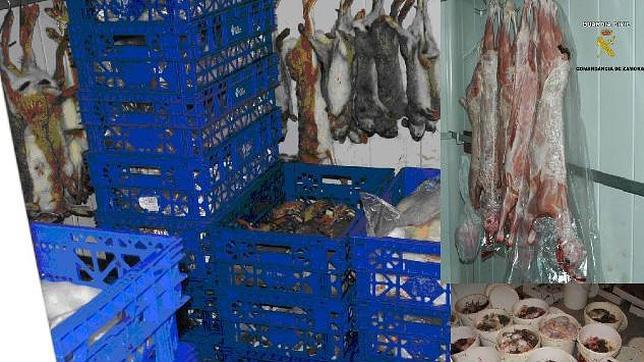 Desmantelan un matadero ilegal de carne en una vivienda