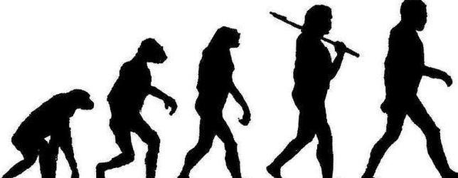 evolucion del hombre de darwin