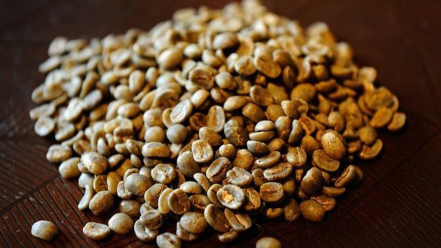 Sirve el cafe verde para bajar de peso