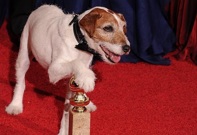 Uggie Dejara La Huella De Sus Patas En El Teatro Chino De Los Angeles