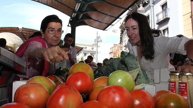 La economía verde, una oportunidad de empleo en España