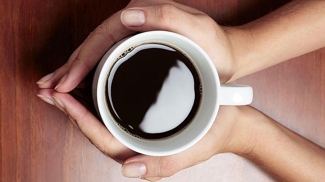 El café arábiga salvaje podría desaparecer en 70 años por el cambio climático