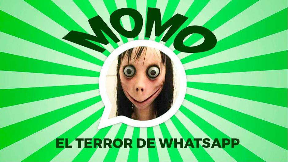 Momo whatsapp что это