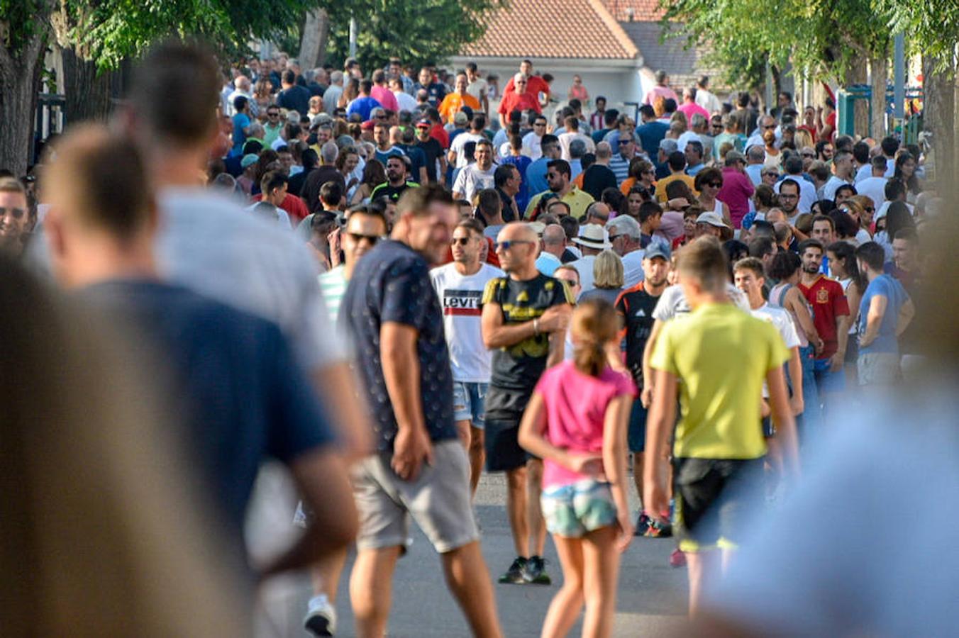 Tradicional encierro de las fiestas de Añover de Tajo