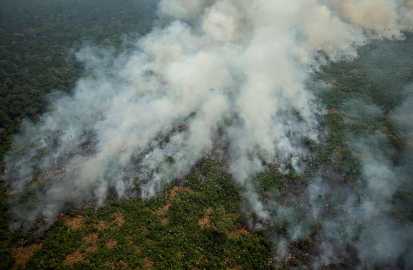 El Incendio Del Amazonas, En Imágenes