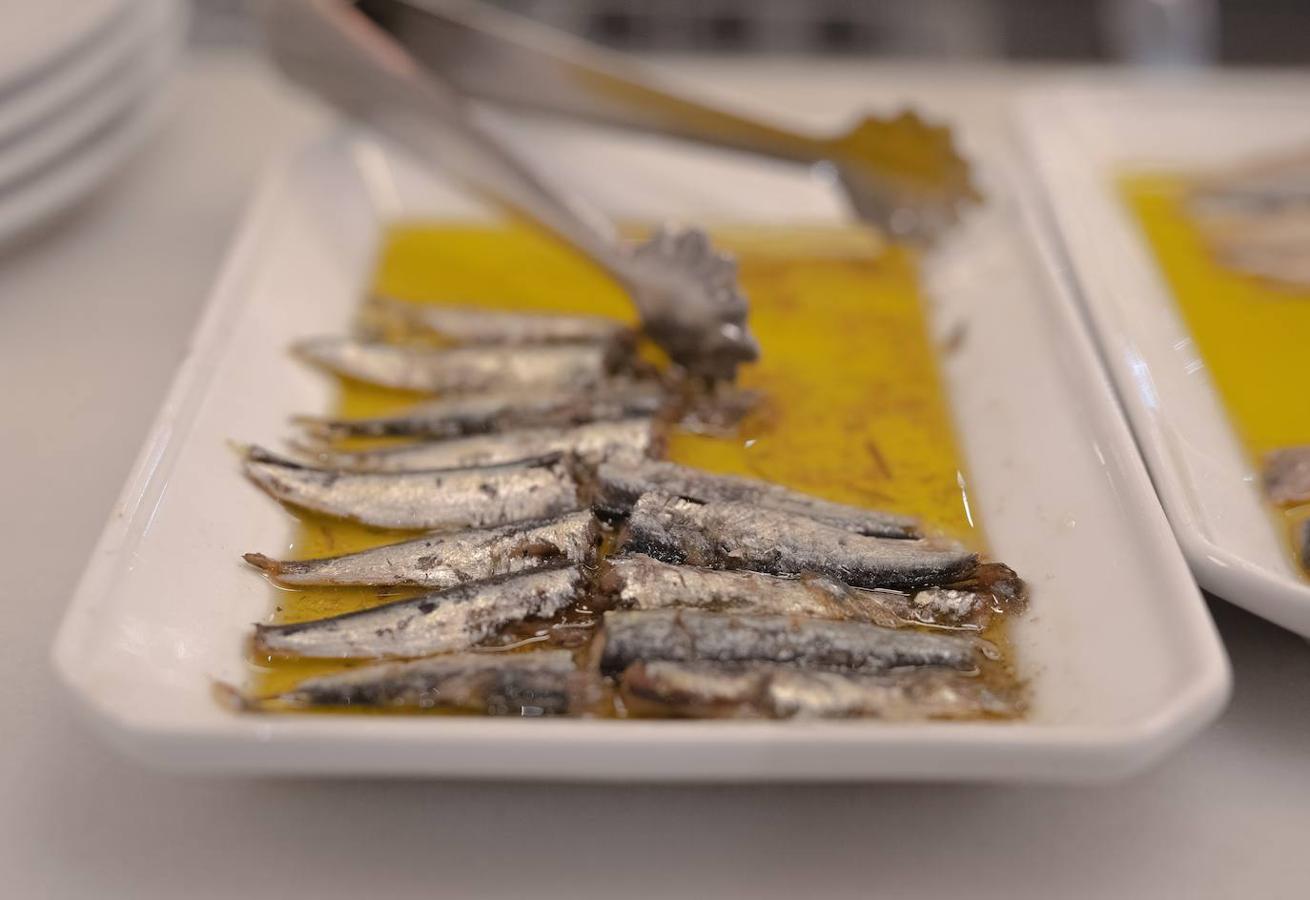 Sardinas