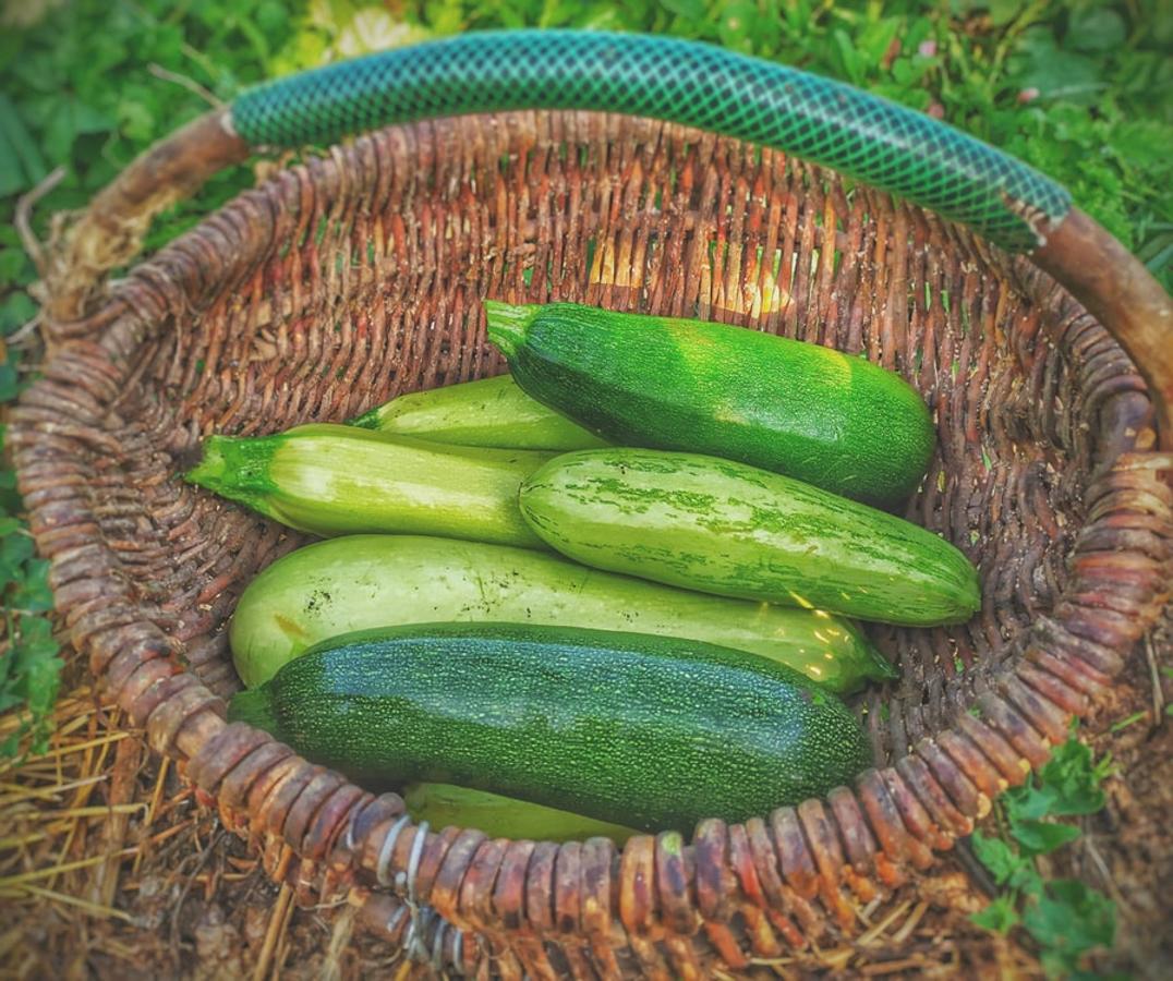 Calabacines crudos