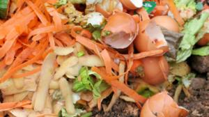 No las tires: cómo darles una segunda vida a las cáscaras de los huevos y la fruta que te comes