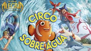 Disfruta del circo como nunca antes lo habías hecho: Circo sobre Agua en Madrid