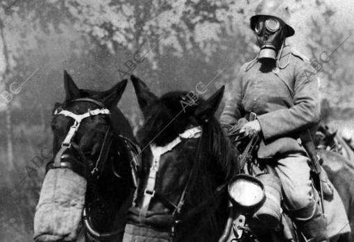 Riders and horses wearing gas masks