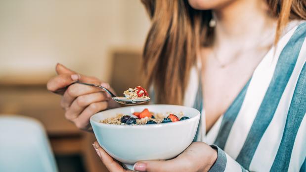 En que consiste la dieta salvaje