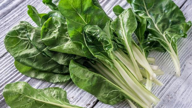 Acelga: la de hojas verdes son las mejores para cocinar