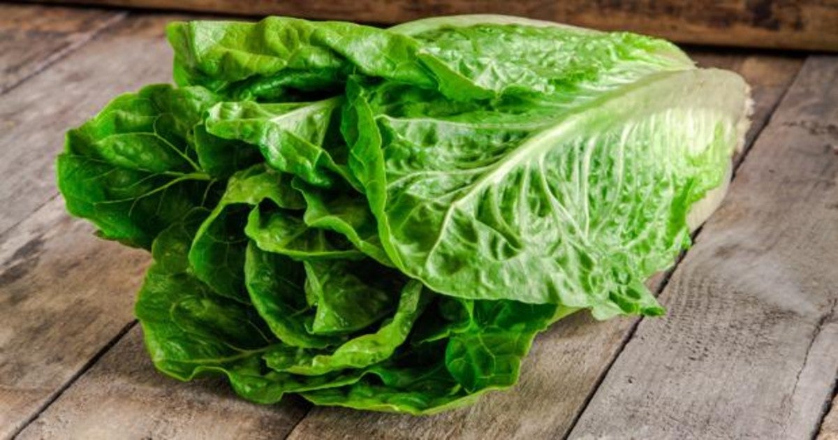 Lechuga: beneficios para la salud y falsos mitos