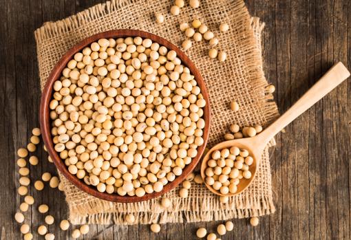 Soja seca.