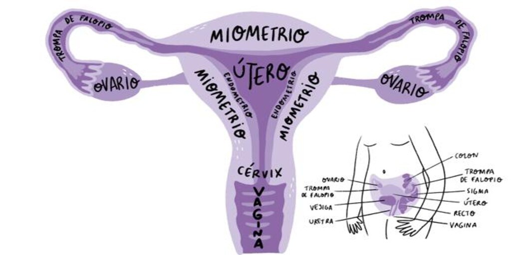De la endometriosis a la reconciliación con lo femenino Florecimiento de mujer 