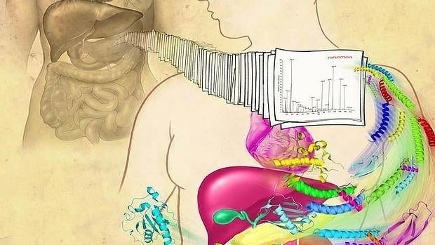 Los investigadores buscan aquellas biomoléculas que nadie ha conseguido localizar en el organismo.