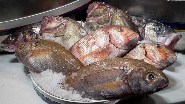 Junto a la refrigeración, ahumado, salado y secado de los peces, otra técnica de conservación es la fermentación
